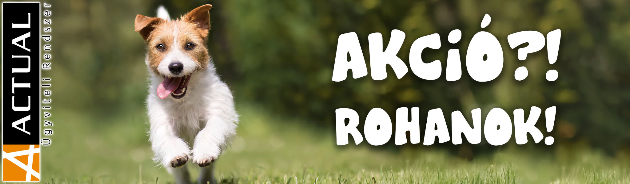 Akció?! Rohanok! - ACTUAL Ügyvitel 35% kedvezménnyel!