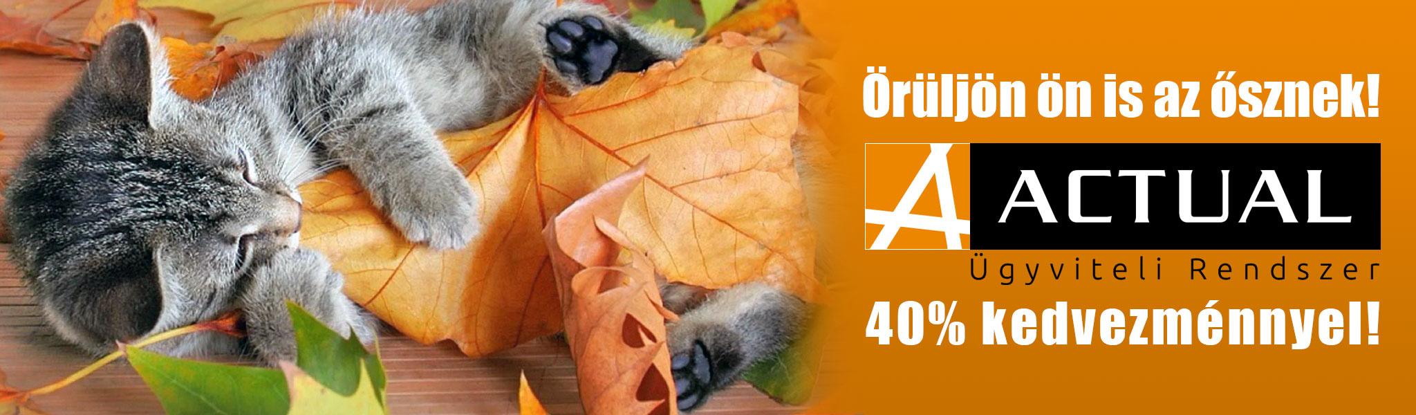 Örüljön ön is az ősznek - ACTUAL Ügyviteli Rendszer 40% kedvezménnyel!