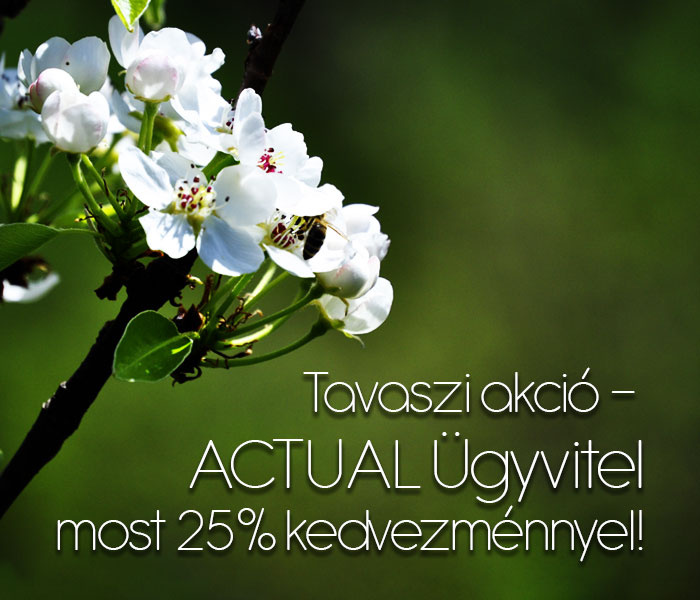 Tavaszi akció - ACTUAL Ügyvitel most 25% kedvezménnyel!