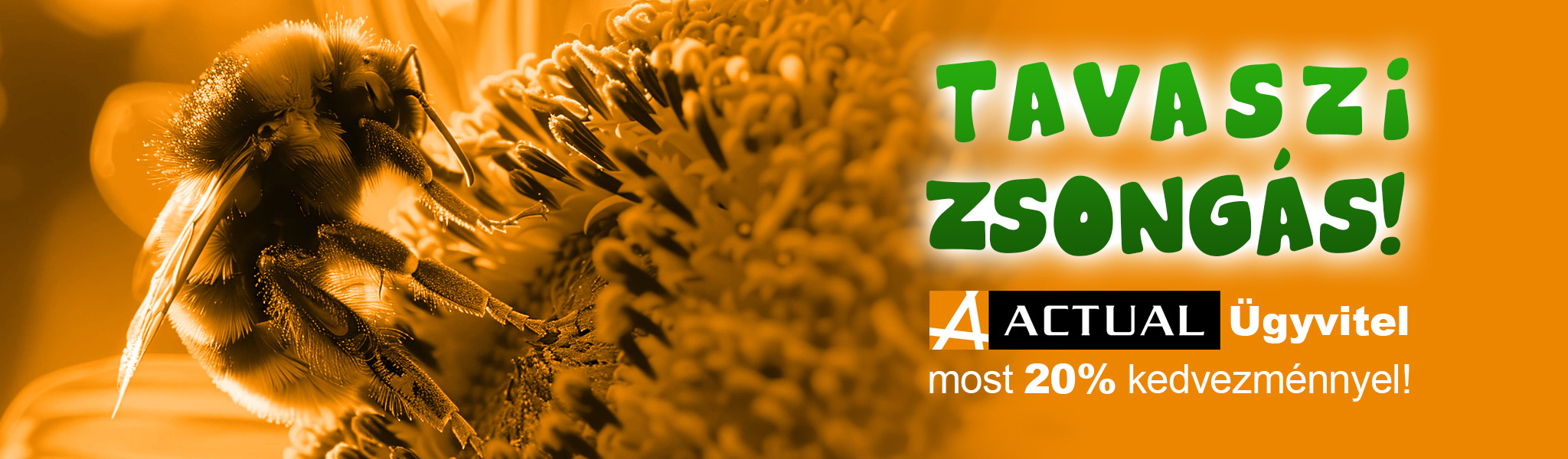 Tavaszi zsongás!